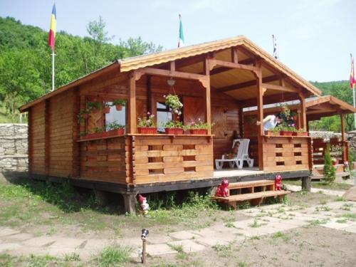 ������ �������� (����� Braila)